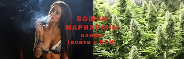 МДПВ Богородицк