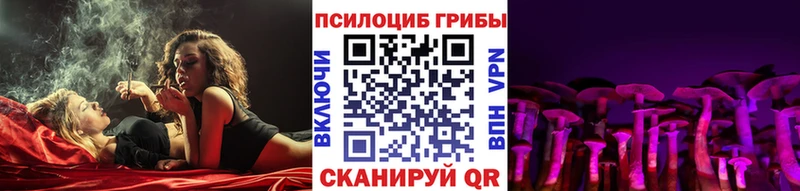 купить наркотик  Сызрань  Псилоцибиновые грибы мухоморы 
